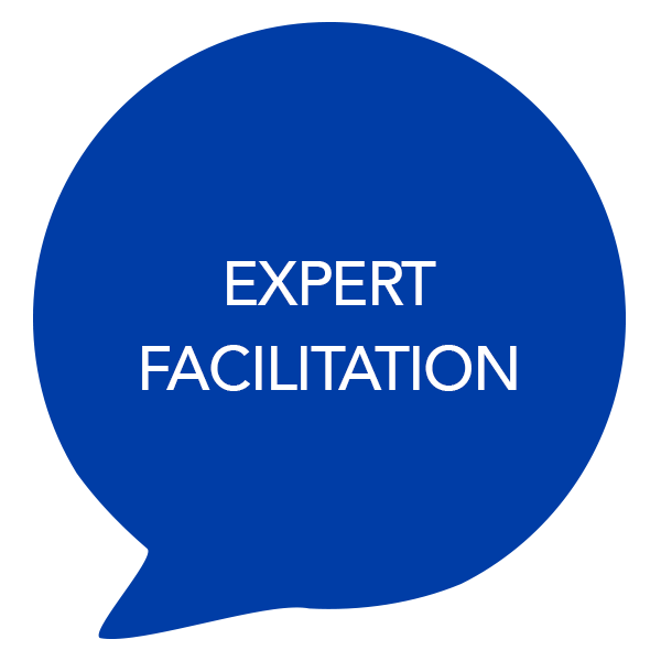 EXPERT FACILITATION EXPERT FACILITATION